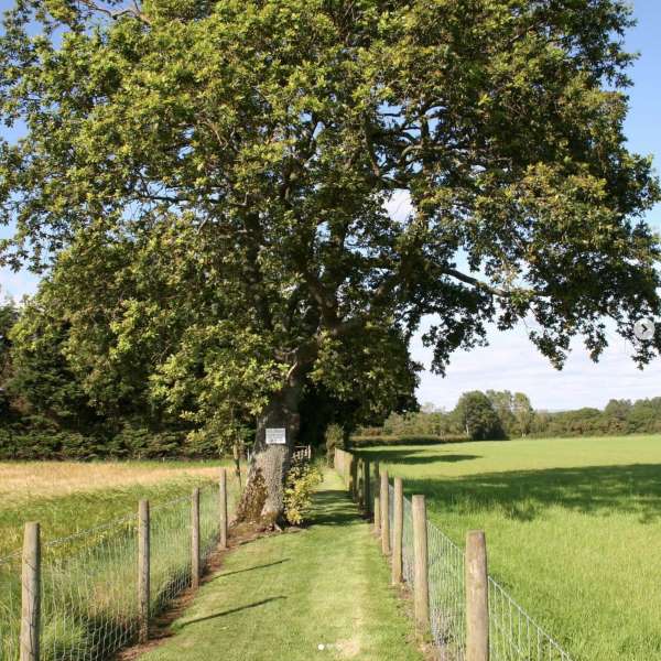 Adult Caravan Park near M6 Junction 42 in Carlisle, Cumbria